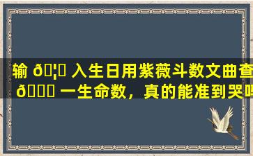 输 🦁 入生日用紫薇斗数文曲查 🐞 一生命数，真的能准到哭吗